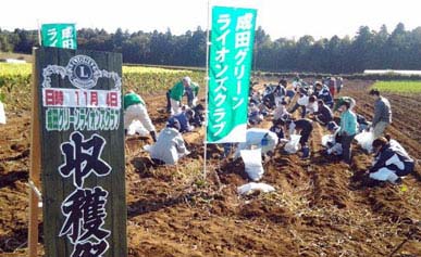 さつまいも収穫祭2